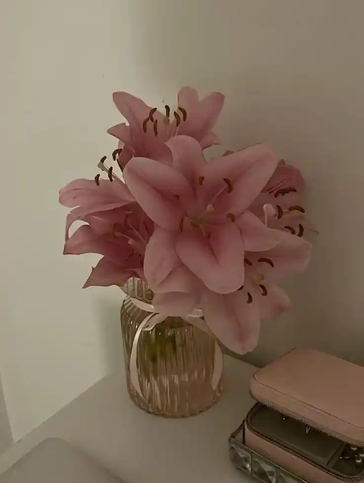 ིྀ˙.⊹  һ᥆𝗍 gіrᥣs 𝗈𝗇𝗅𝗒 ೄྀ༅ post