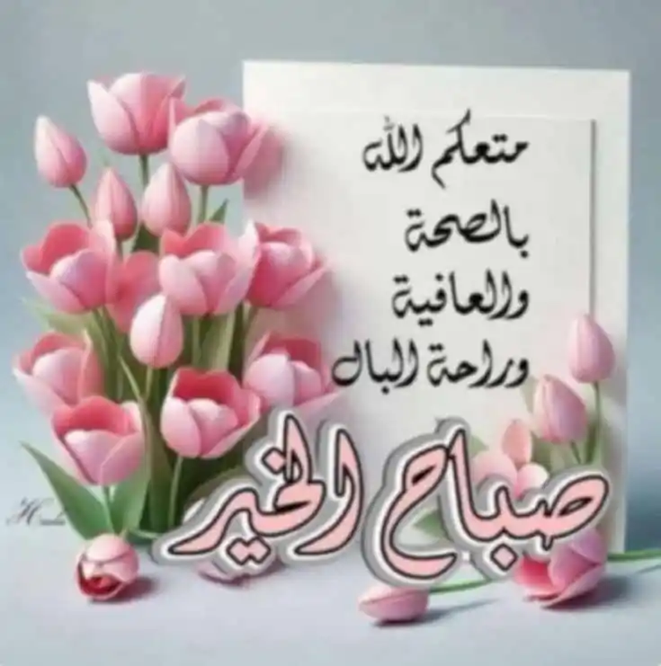 Image from 💚🌸 للجنةنسعى🌸💚: *صباحُ الخير*..💚🌸 على سبيل الطمأنينة: "فسَيَكْفِيكَهُم اللهُ"...