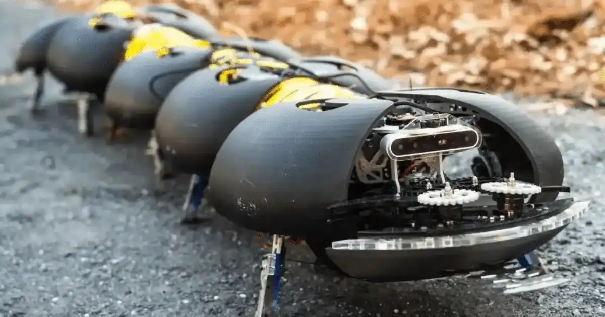 Image from El Paraguayo Independiente: *Un robot ciempiés elimina la maleza sin tocar los cultivos* <a class...