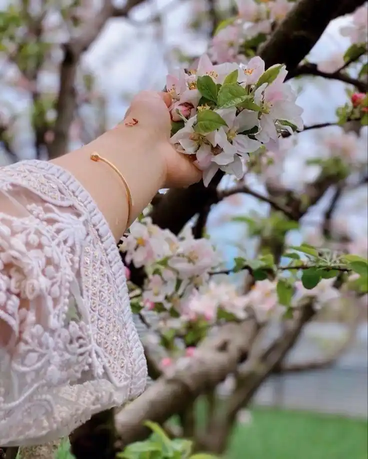 Image from ♥️زړه او👫سکون👩❤️👨: *زمـــا د غــــــرونو خلک خوښ دې🌻* *نه کبرجن دي نه لوظونه ماته وېنه🥀...