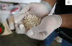 Image from هنا واشنطن: الداخلية السورية: ضبط 800 كيلوغرام من مادة الحشيش و200 ألف حبة كبتاغون...