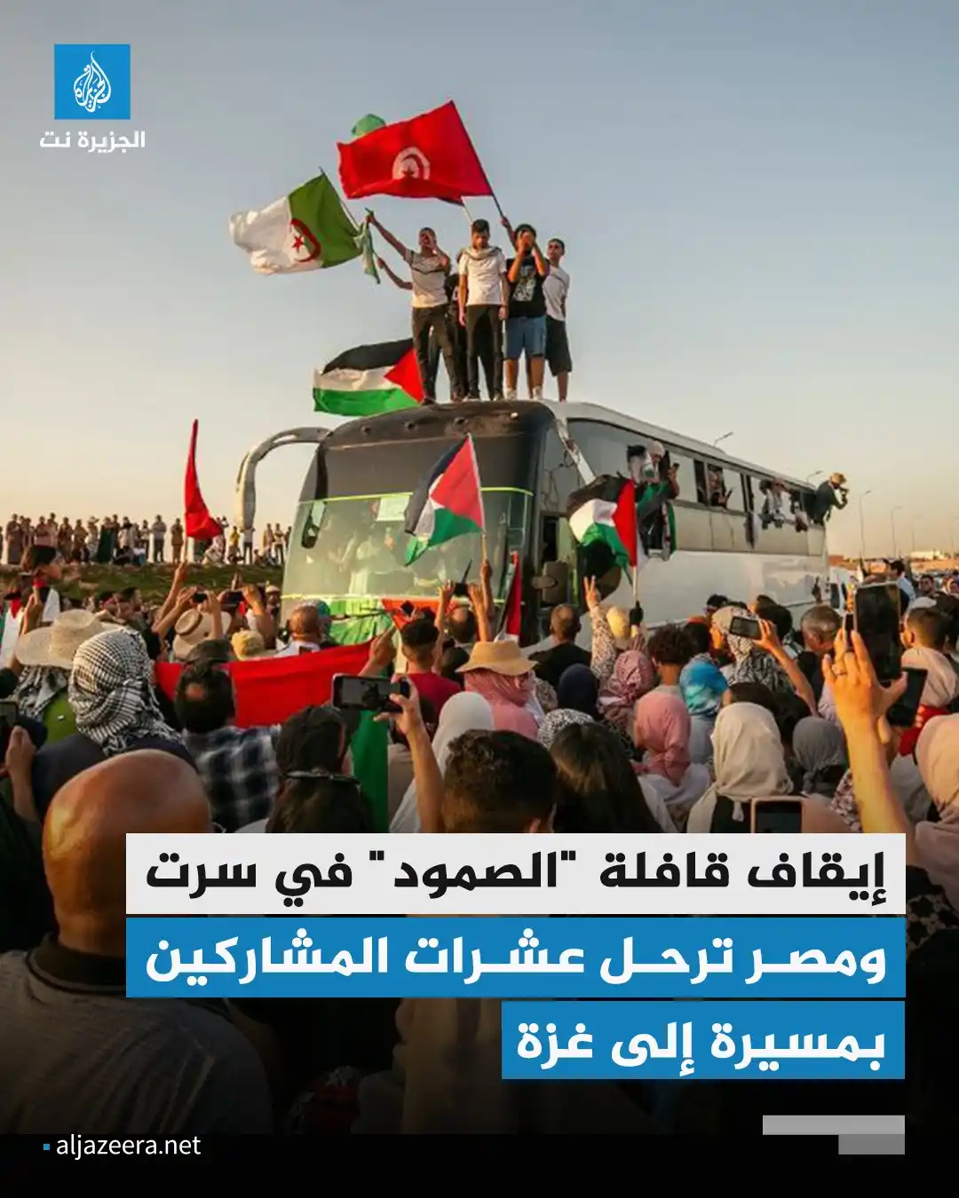 Image from Aljazeera.net | الجزيرة نت: السلطات المصرية تقوم باحتجاز أو ترحيل المزيد من الرعايا الأجانب الذين ...