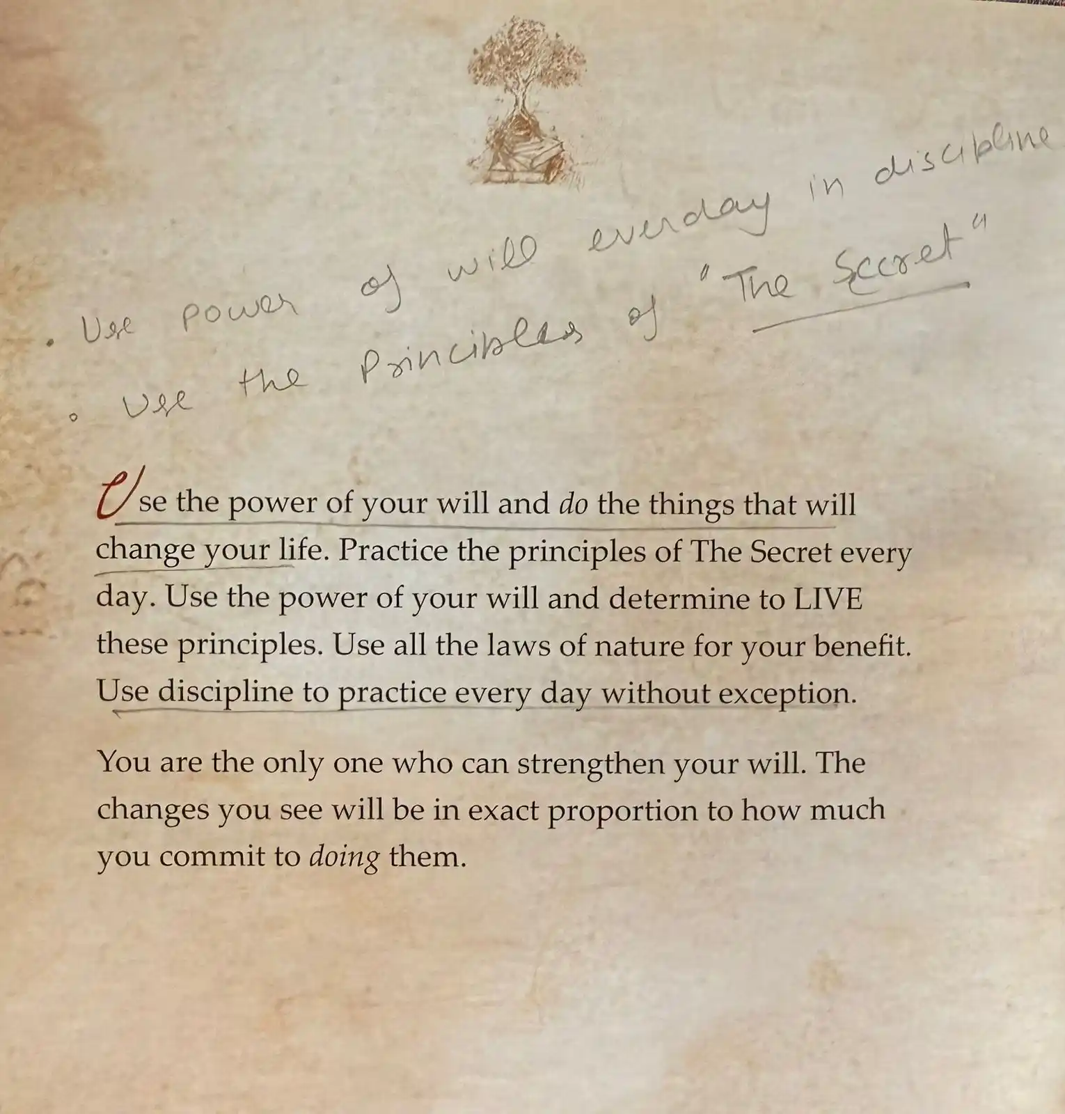 Image from Sunil Nain: Gratitude Practice Day 165...