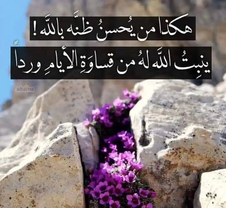 Image from همــლــات 𓍼֪ إيـمــانية 𓍲🤍: " لا شيءَ مضمونٌ في هذه الدنيا".. لا وظيفة ولا مال ولا علاقات ولا محبة...