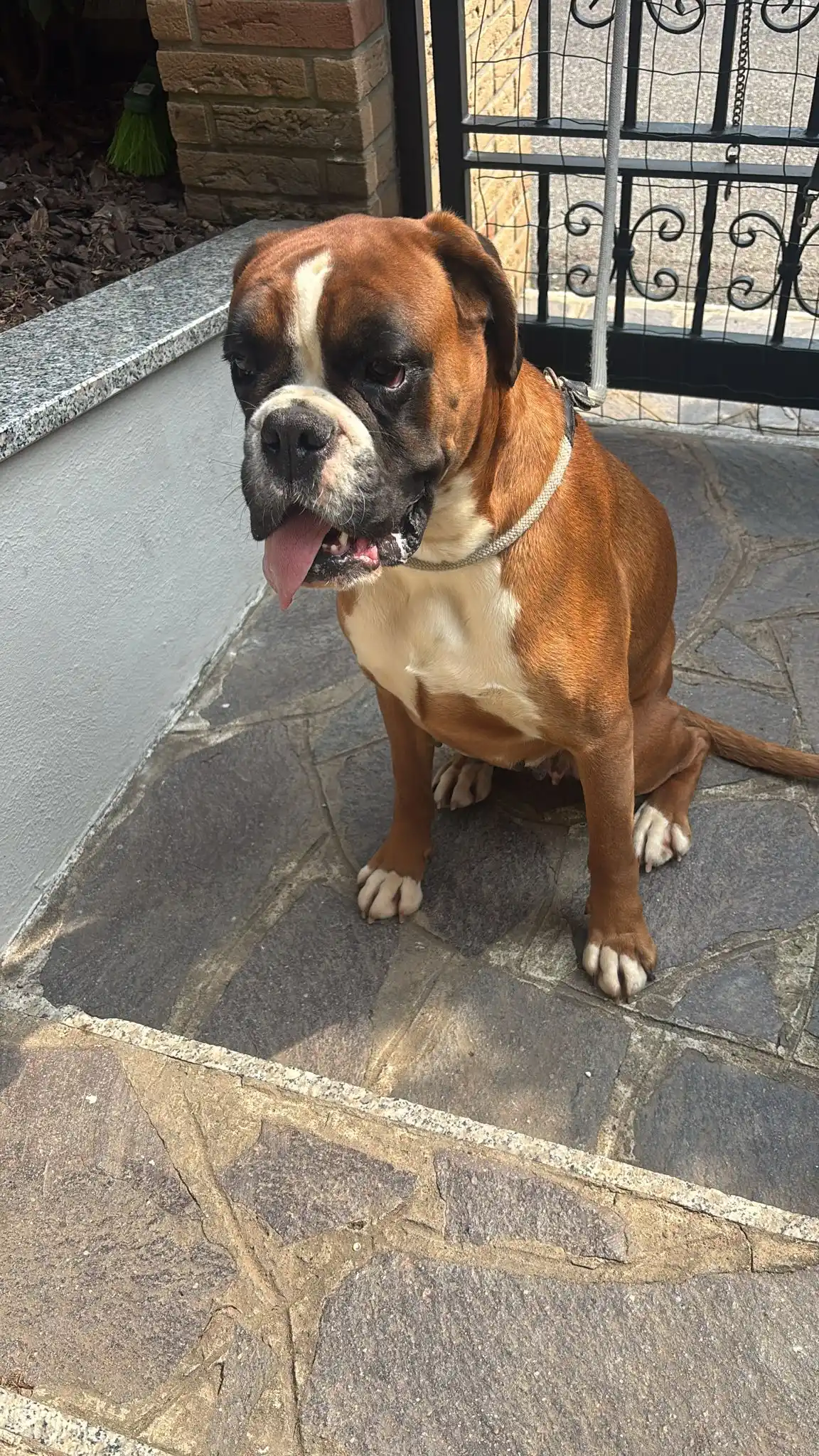 Allevamento Castelbarco post