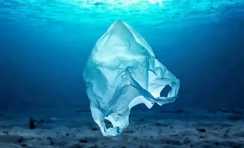 Omni Letters - Brasil post