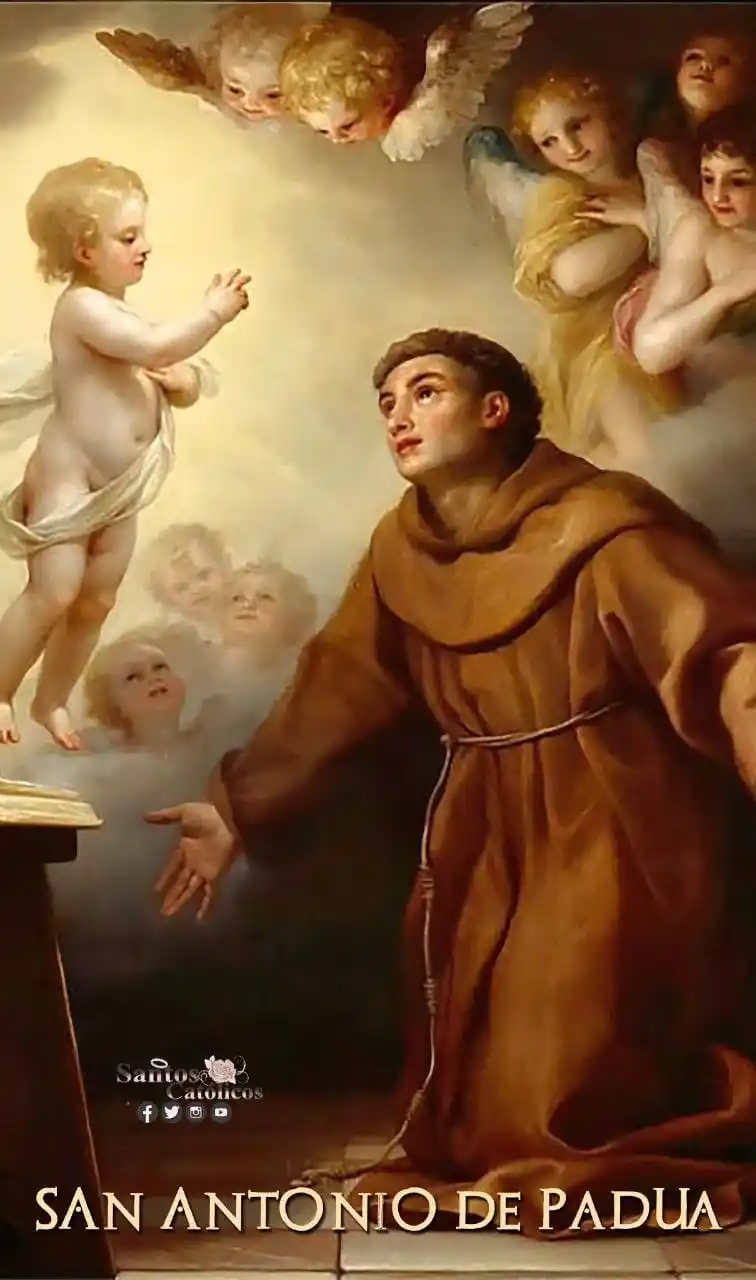Image from ☧📜 Evangelio 𝐃𝐢𝐚𝐫𝐢𝐨 ✞🕯: *San Antonio de Padua 🌿* Nacio en Lisboa como Fernando Martins, fue ...