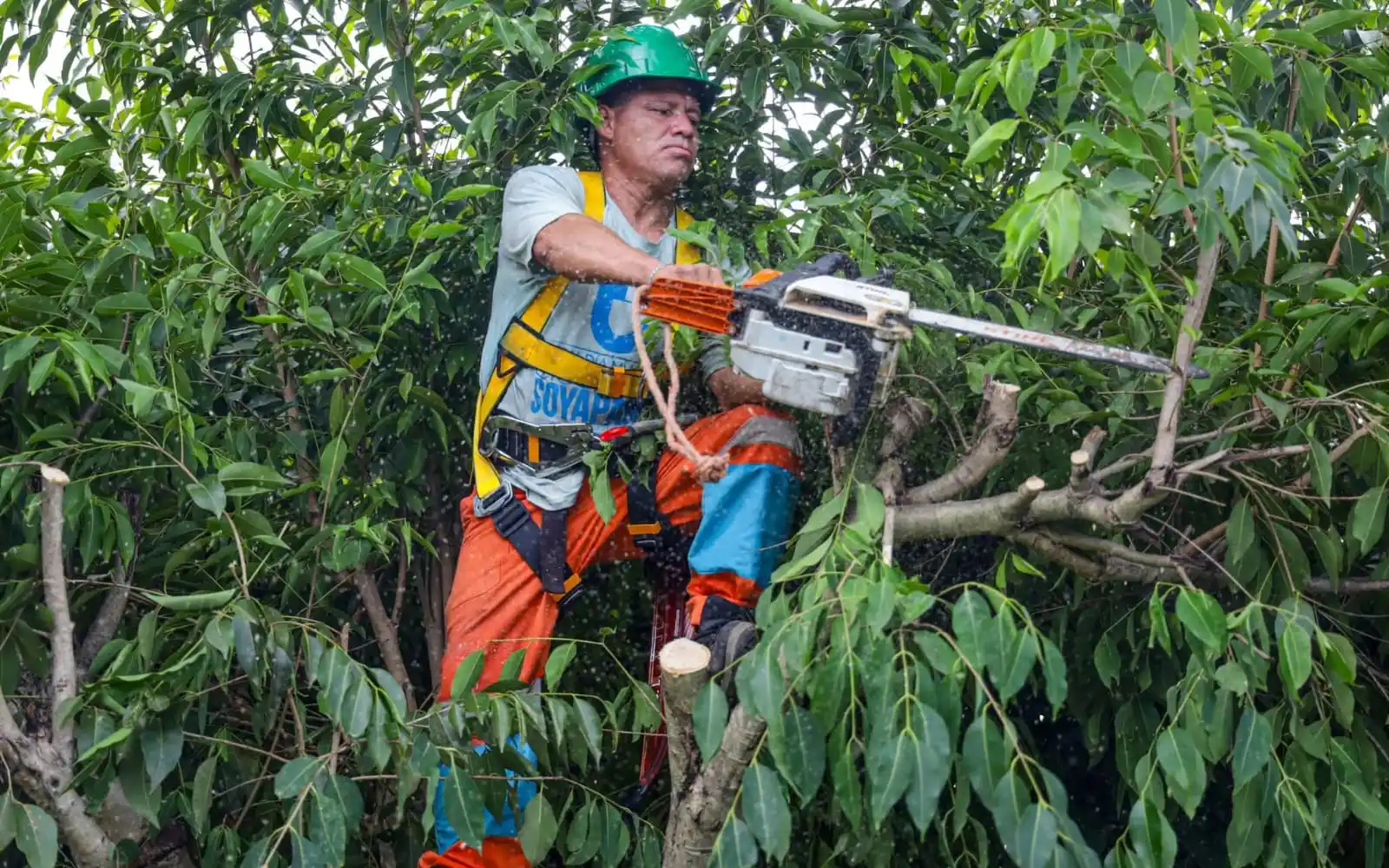 Image from San Salvador Este: ¡Seguimos trabajando por un entorno más limpio y seguro!🌿🧹 Los equi...