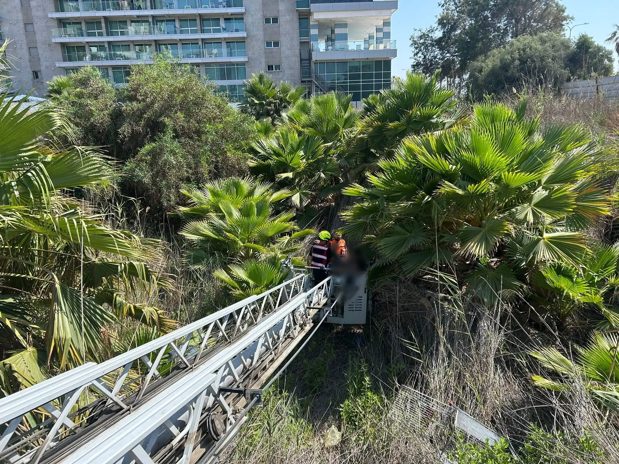 Image from איחוד הצלה: תמונה נוספת מאשדוד צילום: דוברות איחוד הצלה....