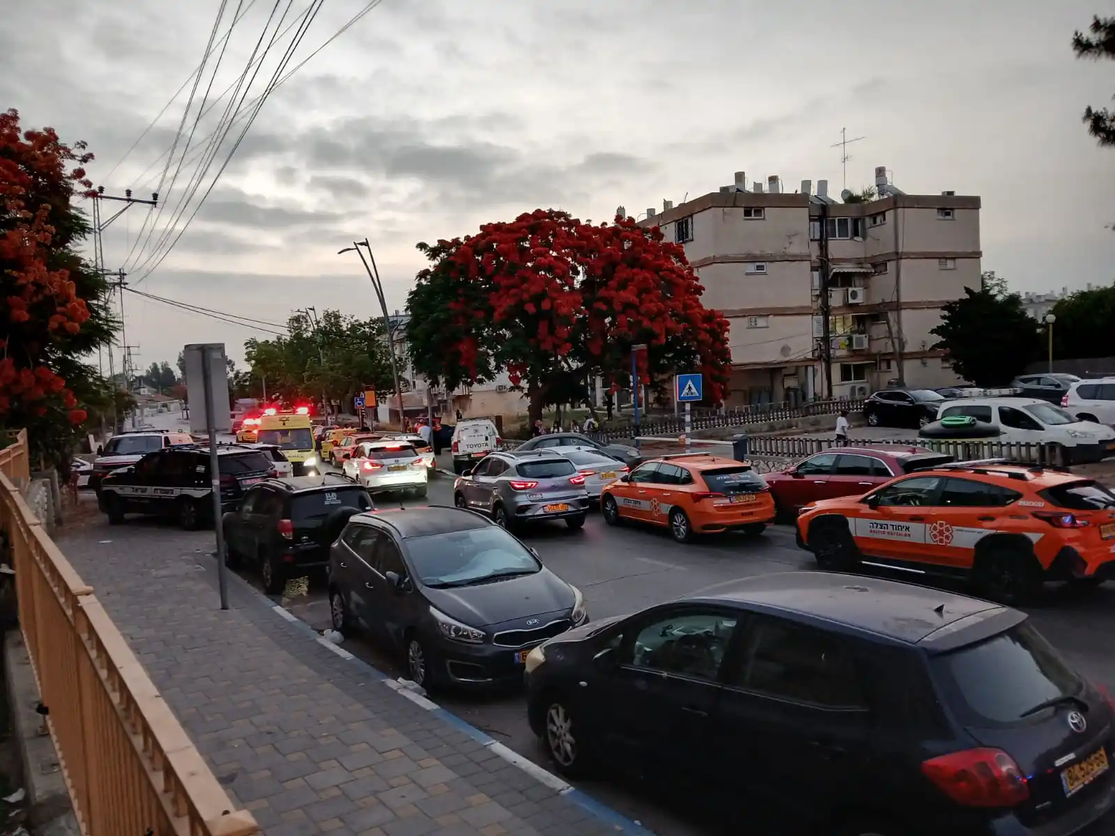 Image from איחוד הצלה: תמונה נוספת מקרית מלאכי צילום דוברות איחוד הצלה...