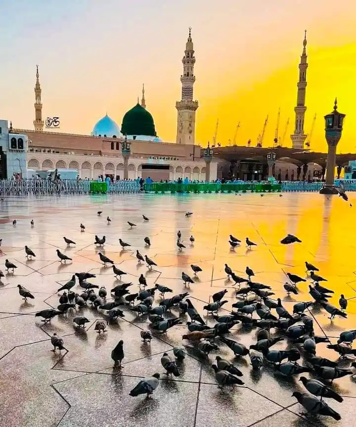 Image from 💞🫶🏻𝒁𝑰𝑵𝑫𝑨𝑮𝑰 𝑴𝑨𝑫𝑰𝑵𝑨 𝑯𝑨𝑰🫶🏻💞: یا رسول اللّٰہﷺ *آپ ﷺ کا خیال میری آنکھوں میں ہے اور آپ ﷺ کا ذکر میر...