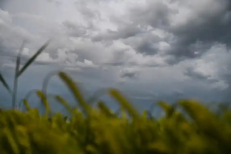 Image from Rhein-Neckar-Zeitung www.rnz.de: 👉 Das sind unsere Themen am Nachmittag: 🌞⚡ *Zick-Zack-Wetter*: Nach...
