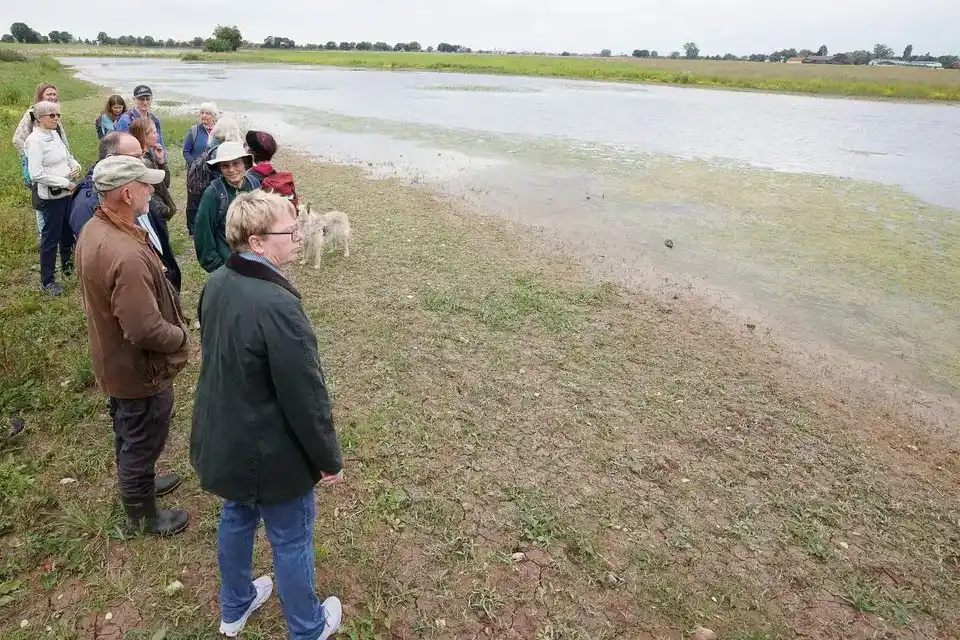 Image from Rhein-Neckar-Zeitung www.rnz.de: 🐦 *Idylle für Vögel*: Fleißige Biber machten ein Feld zwischen Dossen...