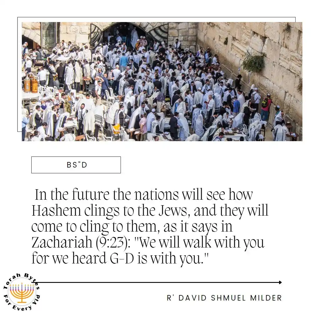 Image from Torah Bytes for every Yid Channel: <a class="text-blue-500 hover:underline cursor-pointer" href="/hashtag...