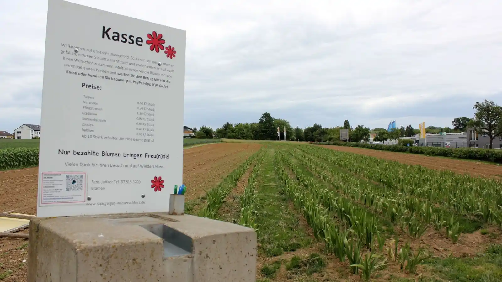 Image from Rhein-Neckar-Zeitung www.rnz.de: 💐 *"Sind auf Ehrlichkeit der Kunden angewiesen"*: Wenn die Blumen-Sel...