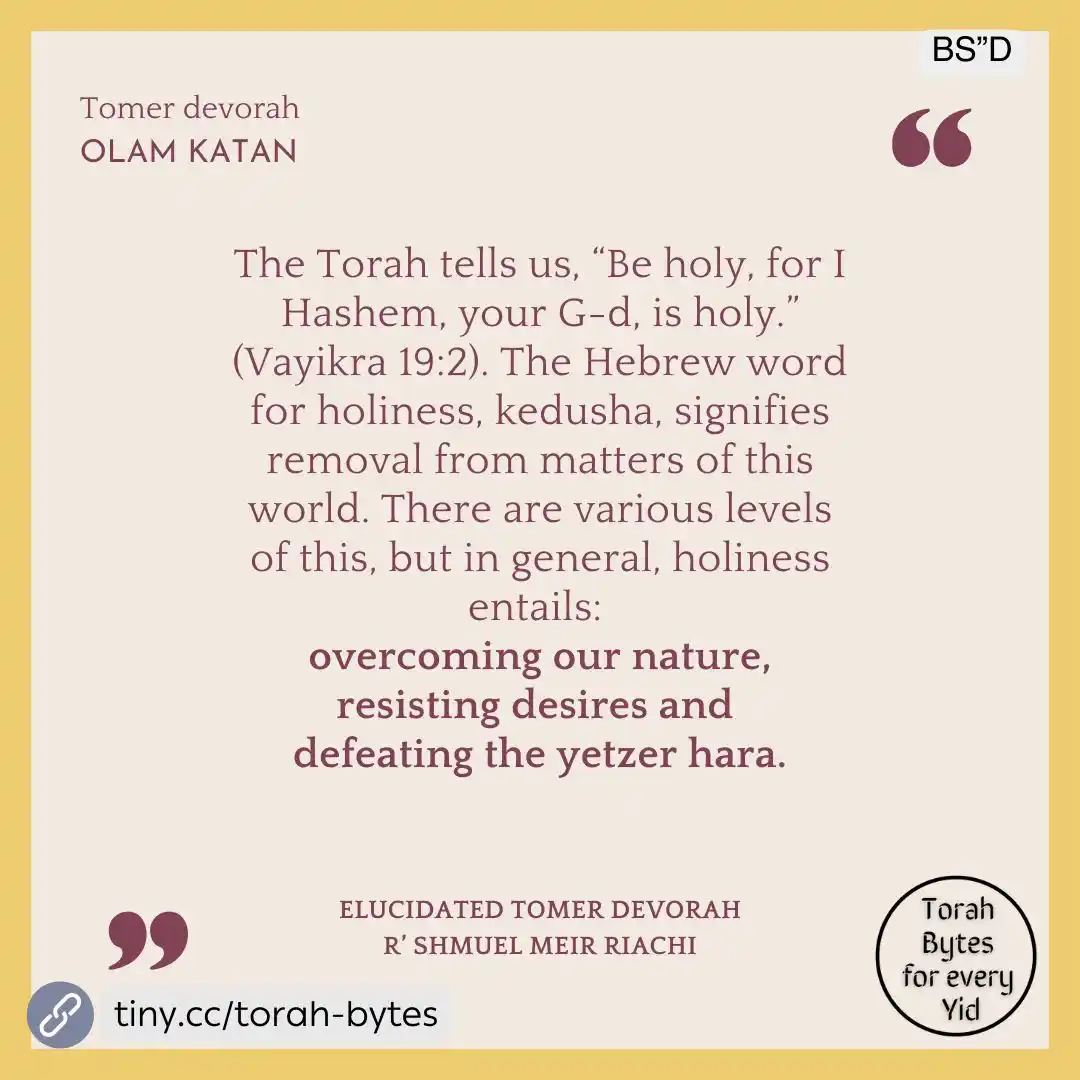 Image from Torah Bytes for every Yid Channel: <a class="text-blue-500 hover:underline cursor-pointer" href="/hashtag...