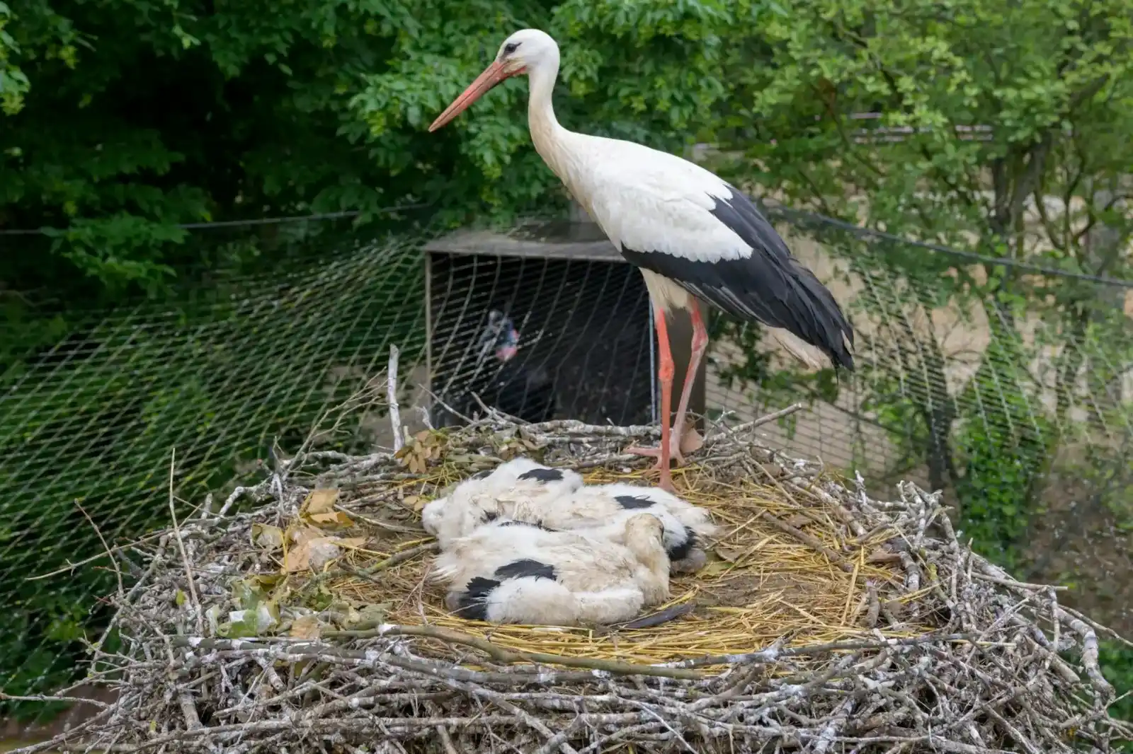 Image from Rhein-Neckar-Zeitung www.rnz.de: Und mit diesen Themen verabschieden wir uns für heute und wünschen euc...
