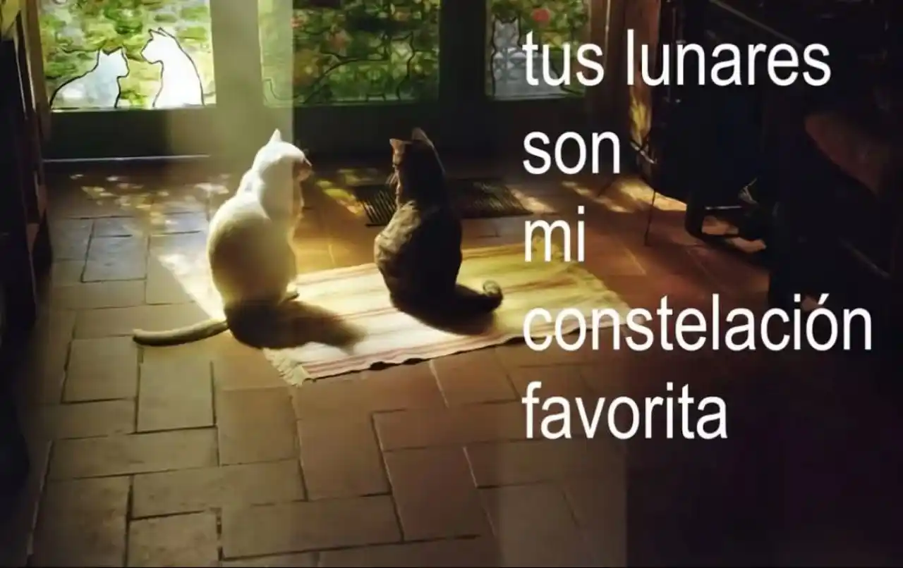 couple goals 🖤¡! post