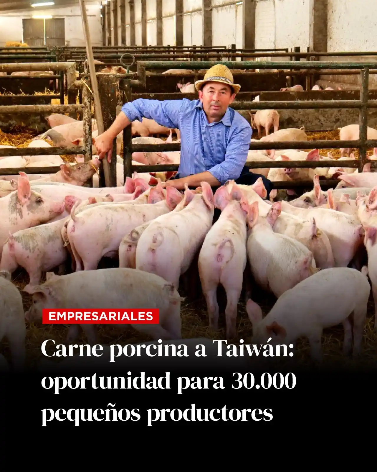 Image from Revista PLUS: 🐖 A partir del 5 de julio, Paraguay exportará carne de cerdo deshuesa...