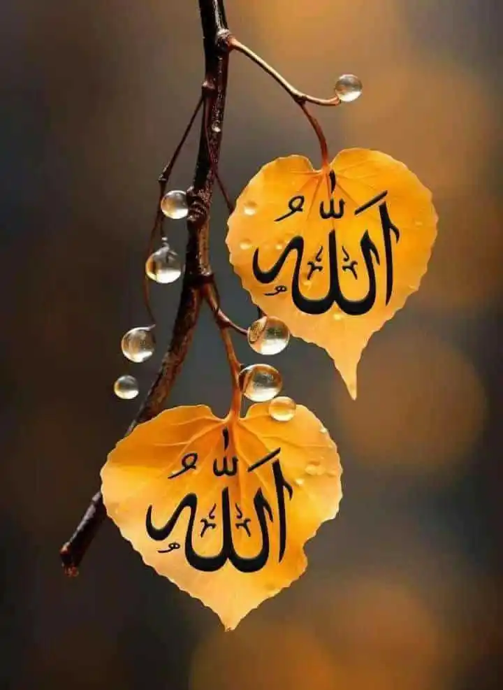 Image from ❀𝑹𝑨𝑨𝑯_𝑬_𝑴𝑨𝑫𝑰𝑵𝑨❀: *💕 اگر صبح کے وقت پارک میں واک کرنے سے آپ کی چربی پگھلتی ہے* *تو پانچ...