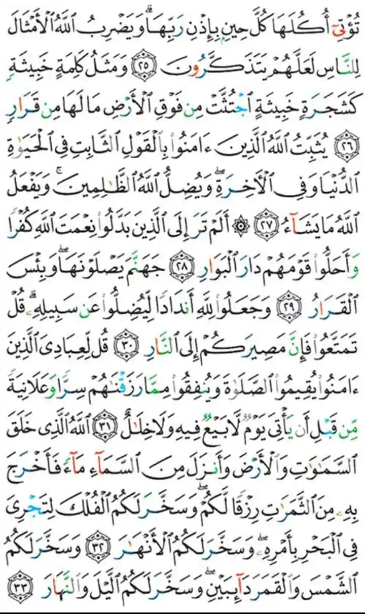 Image from 🌹 الطريق إلي الله الدعوية 🌹: السلام عليكم ورحمة الله وبركاته وردك القرأني يجعلك أقوى ، يمدك بالنور...