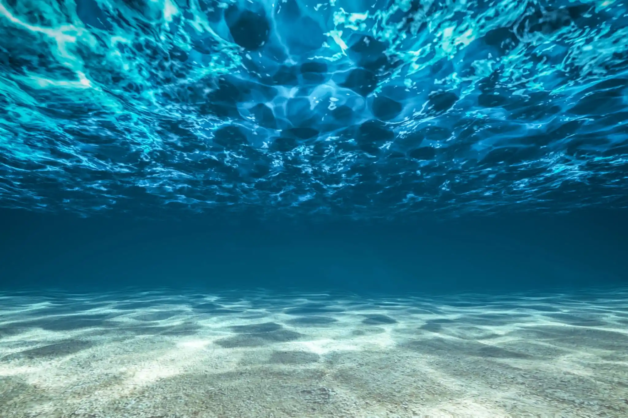 Image from REVOLVE: Beyond // What is ocean literacy? Learn more about the 10 key dimensio...
