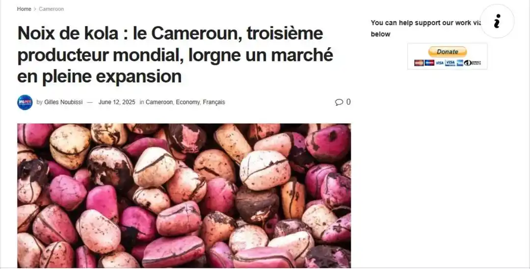 Image from Mimi Mefo Info (MMI) : Cameroon ranks as the world’s third-largest producer of kola nuts, con...