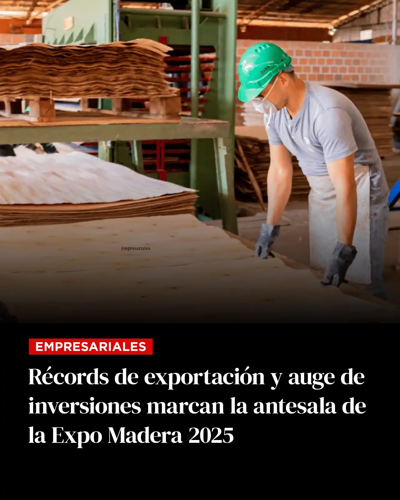 Image from Revista PLUS: 🏛️ Con un crecimiento de créditos forestales del 1.700% y un récord d...