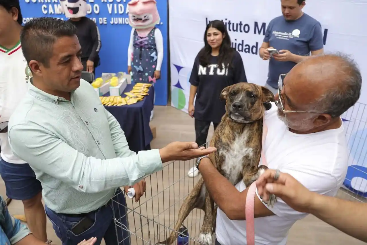 Image from Radar News Querétaro : 🐶💕🐱 <a class="text-blue-500 hover:underline cursor-pointer" href="/...