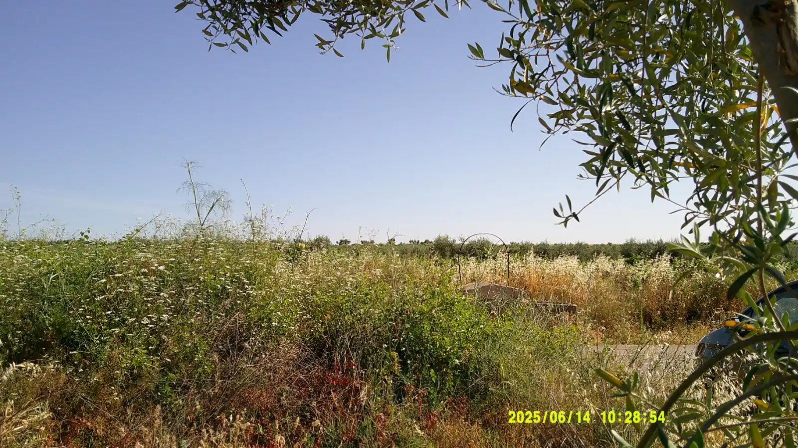 Image from Rutas "Vespineras" de los Pozos rurales⛲🌳🛵🏰🛖🕳️🦆: Dar a conocer, PRESERVAR y DEFENSA del rico Patrimonio Natural, Arquit...
