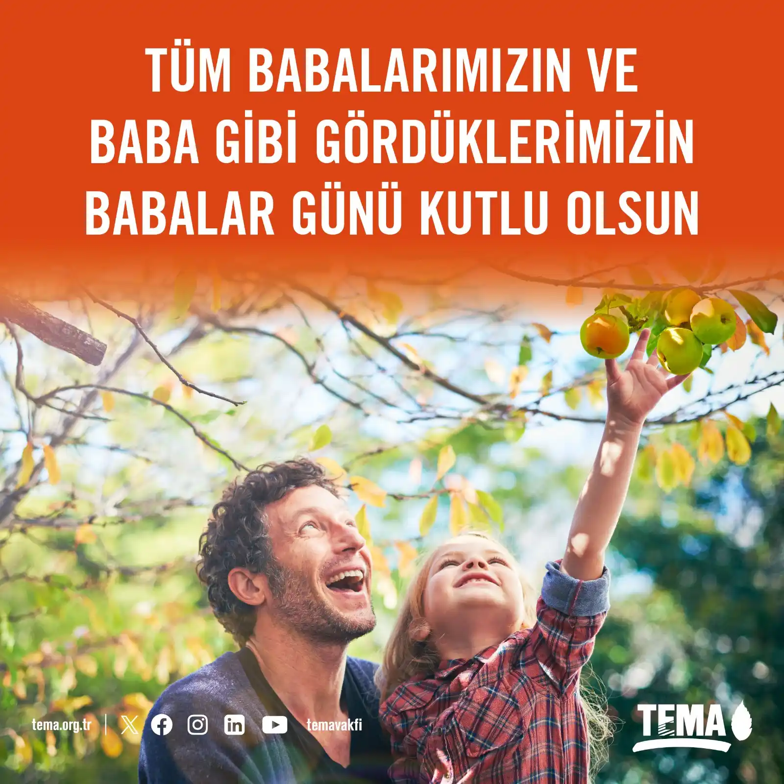 Image from TEMA Erzincan: Değerli Gönüllülerimiz, Tüm babalarımızın ve baba gibi gördüklerimizi...