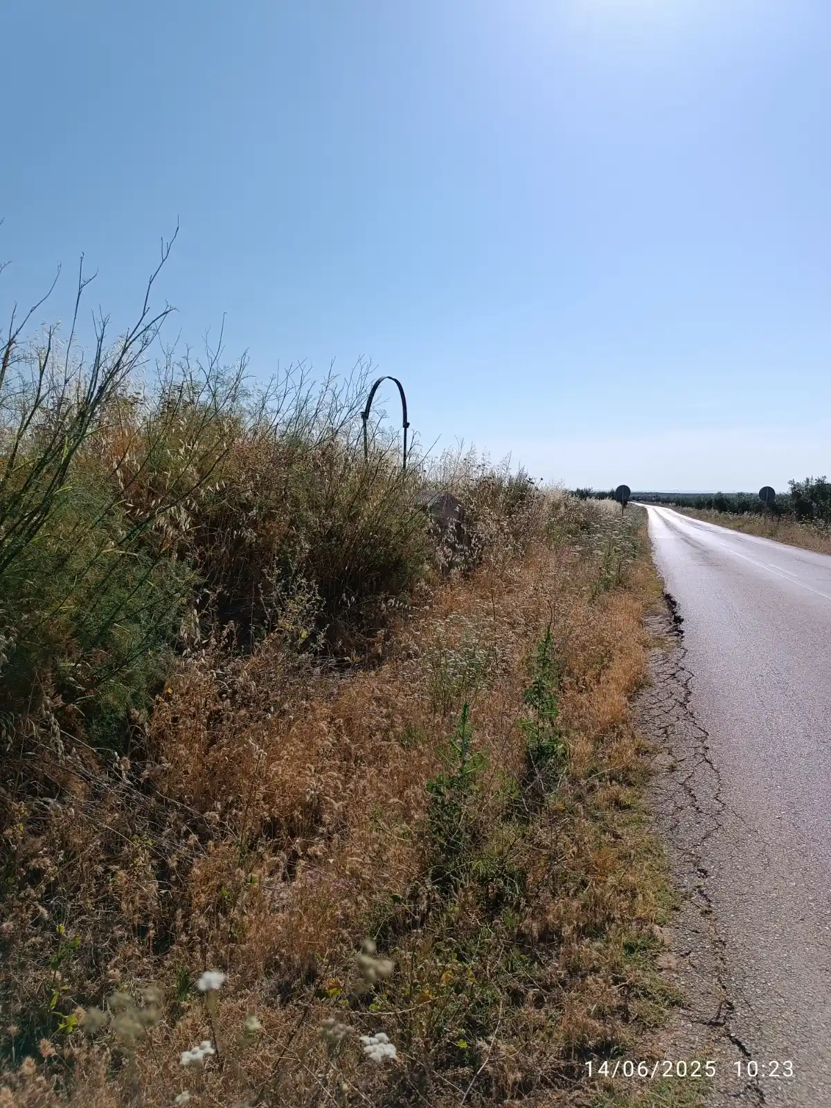 Image from Rutas "Vespineras" de los Pozos rurales⛲🌳🛵🏰🛖🕳️🦆: Está situado en la misma cuneta de la ctra. BA-131, de Los Santos de M...