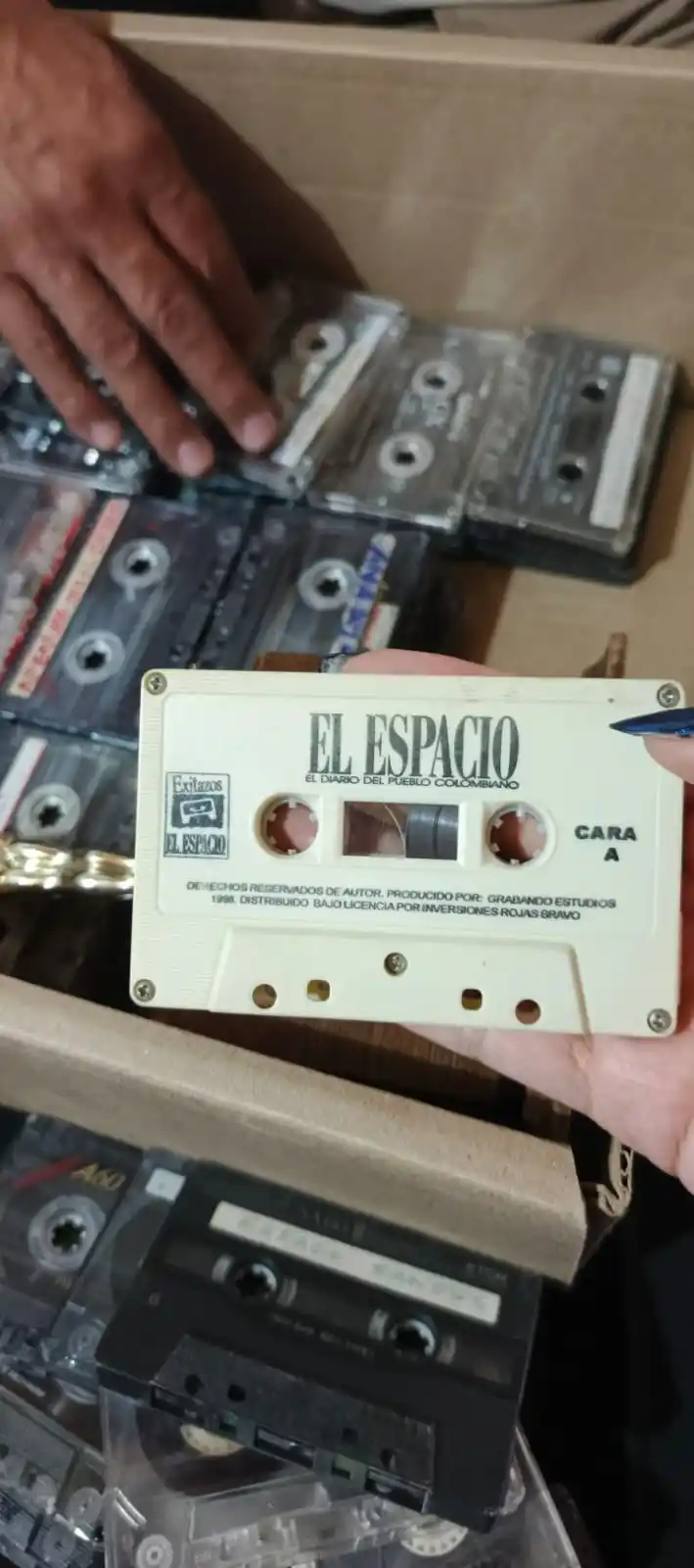 Qlosauri@s 🐉 post