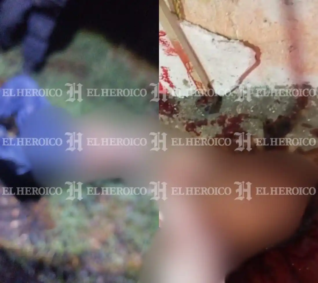 Image from El Heroico Diario: <a class="text-blue-500 hover:underline cursor-pointer" href="/hashtag...