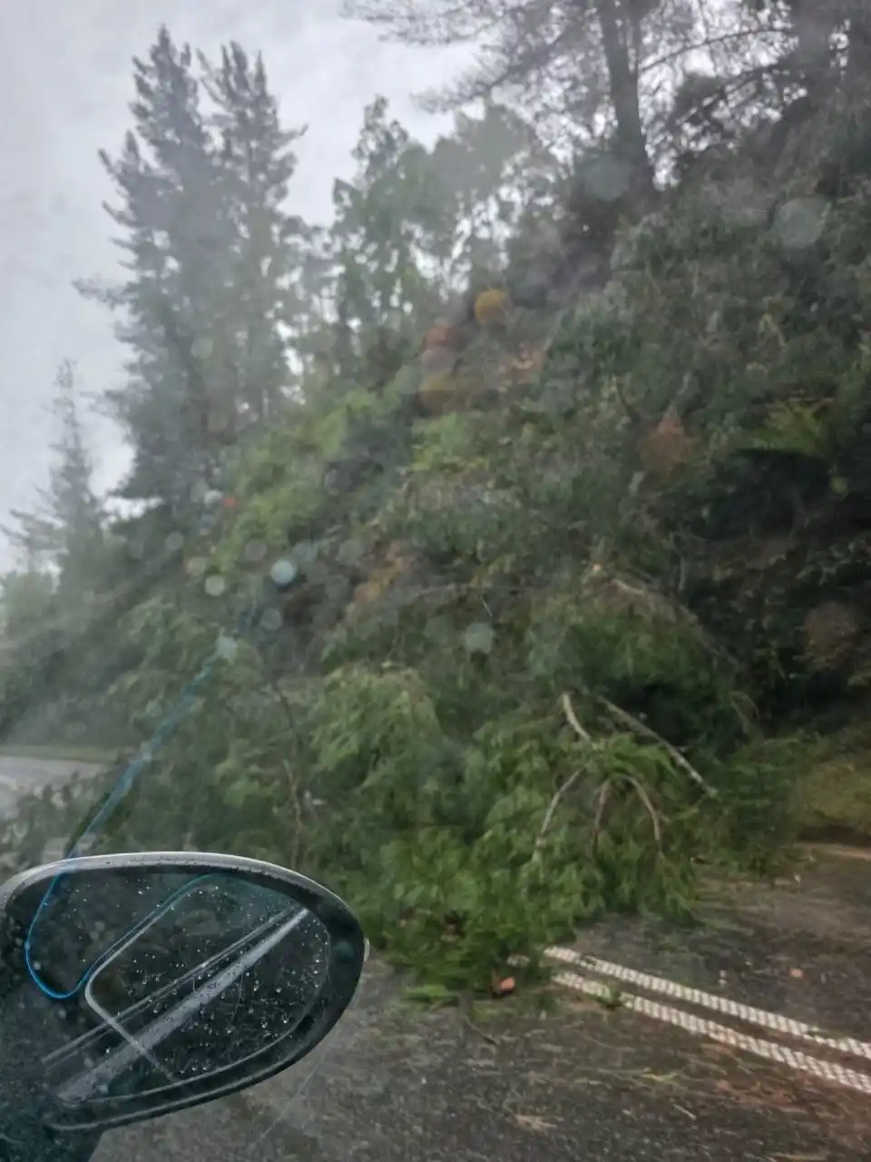 Image from Emergencia San José, Región de los Rios : LOS RIOS RUTA T-206 https://whatsapp.com/channel/0029VaBLIw0DeOMxCBp...