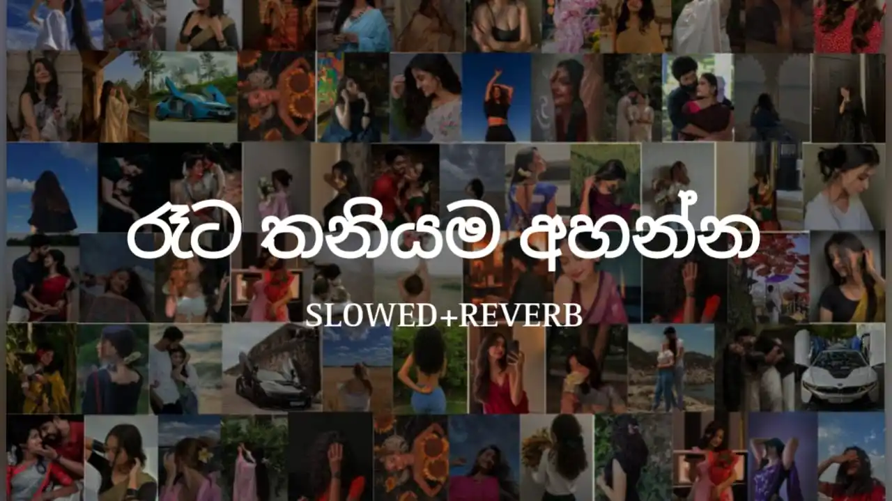 Image from Sudda Quotes 🩷🫀: *`⭕ මේ වගේ මනෝපාරකට සෙට් වෙන සිංදු අහන්න Follow කරල තියාගන්න 💆♂️🤍👇...
