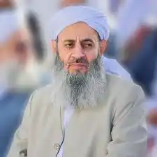 Image from پایگاه خبری روزنه: 📌مولوی عبدالحمید: ما از مرزهایمان دفاع میکنیم، ایران خانه ماست، به ...