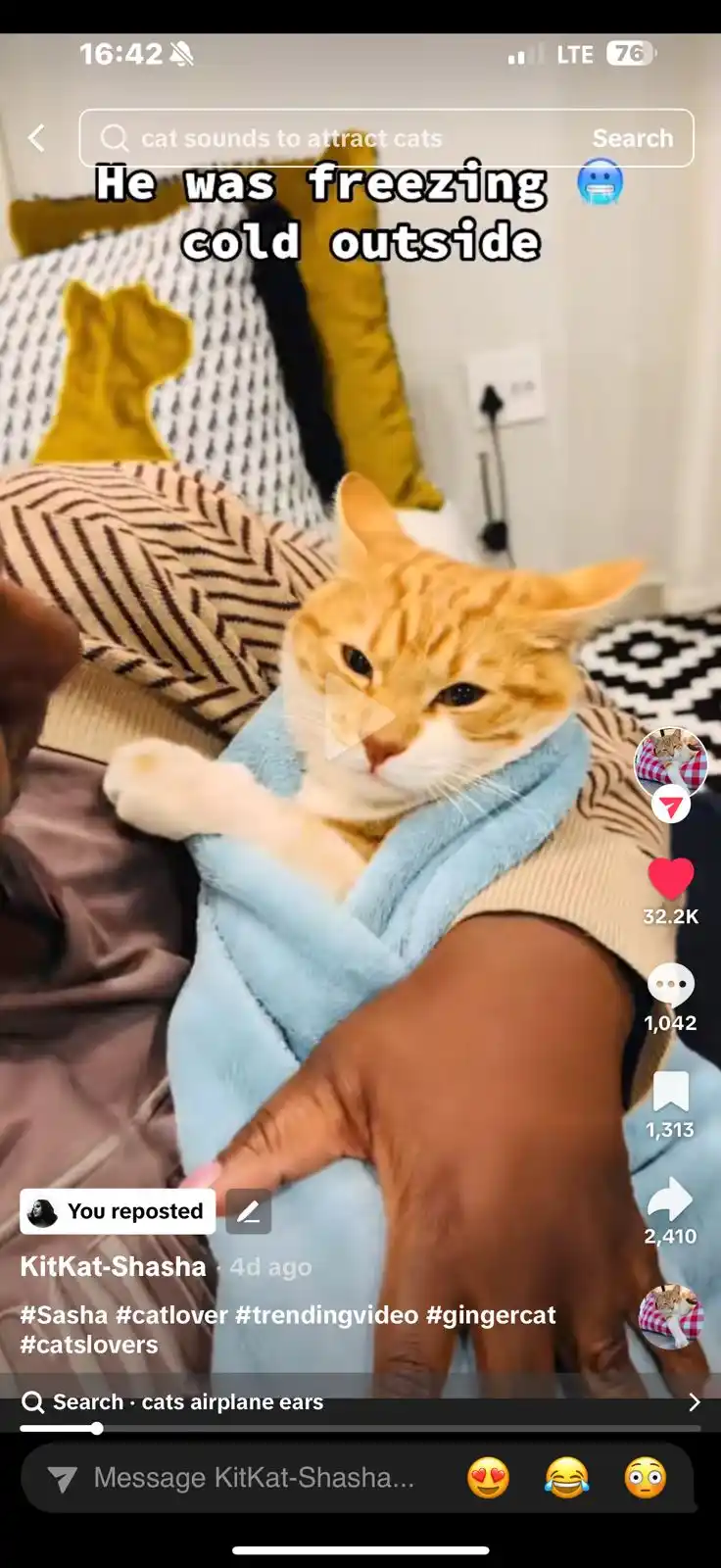 Image from A Mandz World: My cat lives with my mom now and omg they are having the time of their...