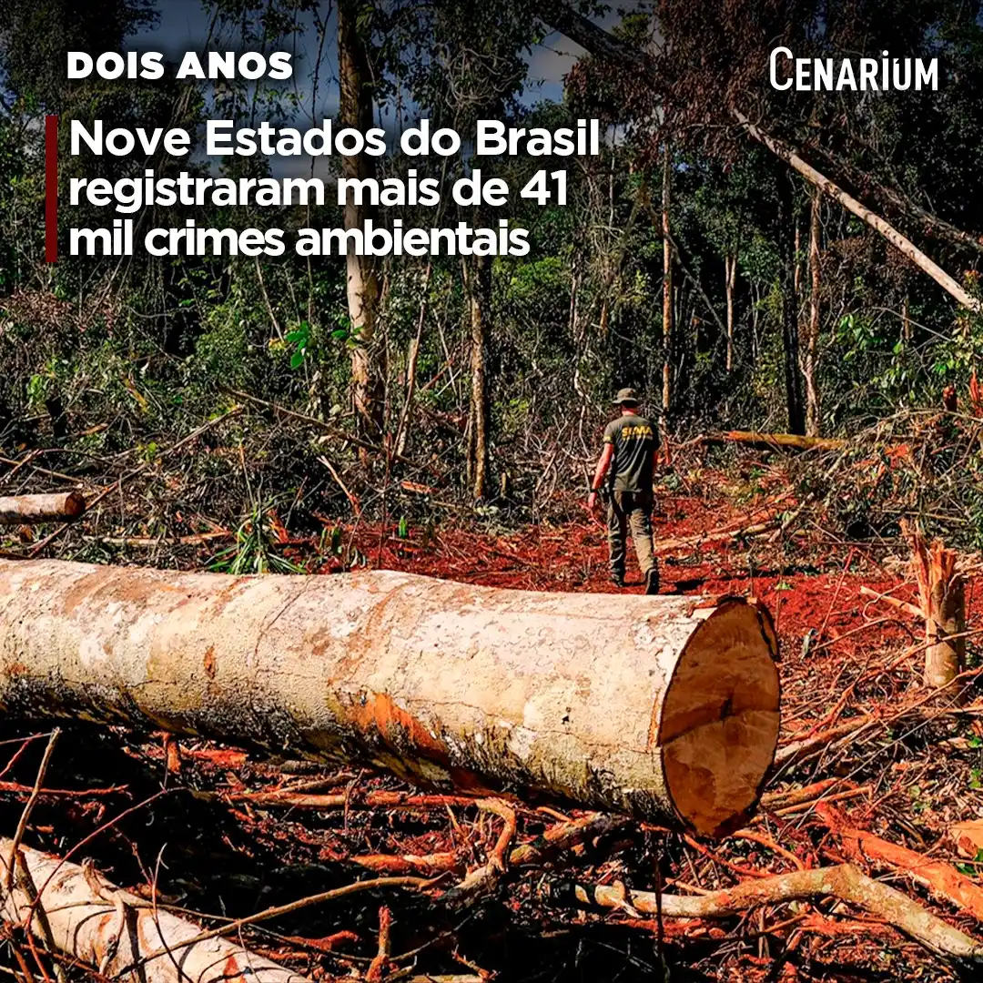 Image from CENARIUM: ⚠️ *Nove Estados do Brasil registraram mais de 41 mil crimes ambientai...