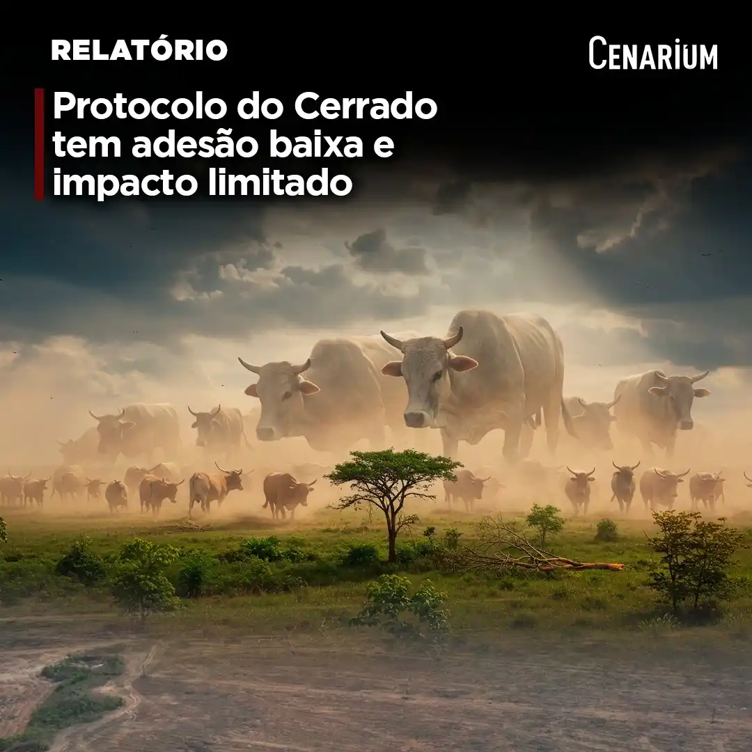 Image from CENARIUM: ❗️ *Protocolo do Cerrado tem adesão baixa e impacto limitado* De abri...