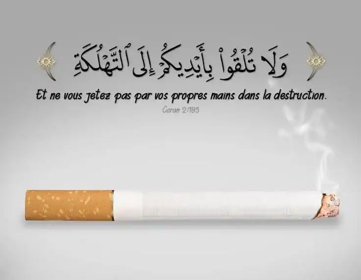 𝙇𝙀 𝙍𝘼𝙋𝙋𝙀𝙇 𝙋𝙍𝙊𝙁𝙄𝙏𝙀 𝘼𝙐𝙓 𝘾𝙍𝙊𝙔𝘼𝙉𝙏𝙎 post