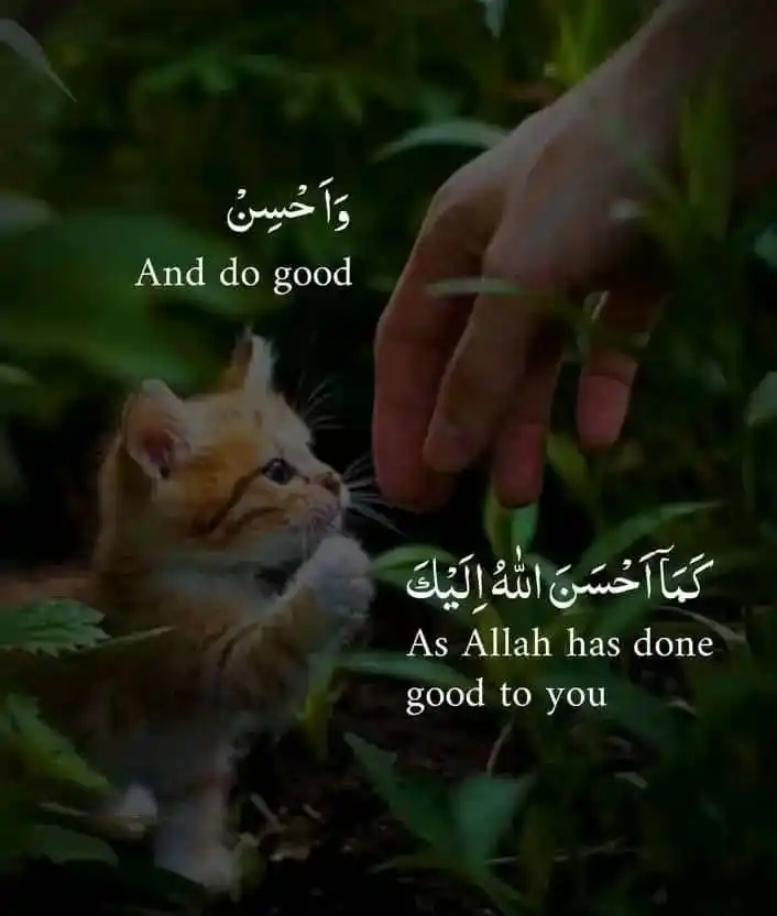 Image from ~𝕊𝕋ℝ𝔼ℕ𝔾𝕋ℍ 𝕚ℕ 𝔻𝔼𝔼ℕ🤍🌼: Sabahul Khair 🌿🤍...