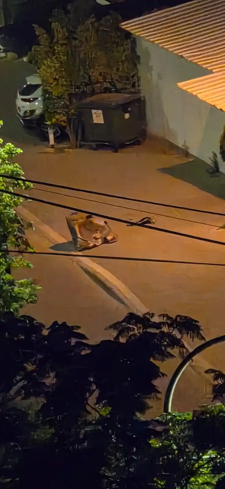 חדשות מטאור ☄️ post