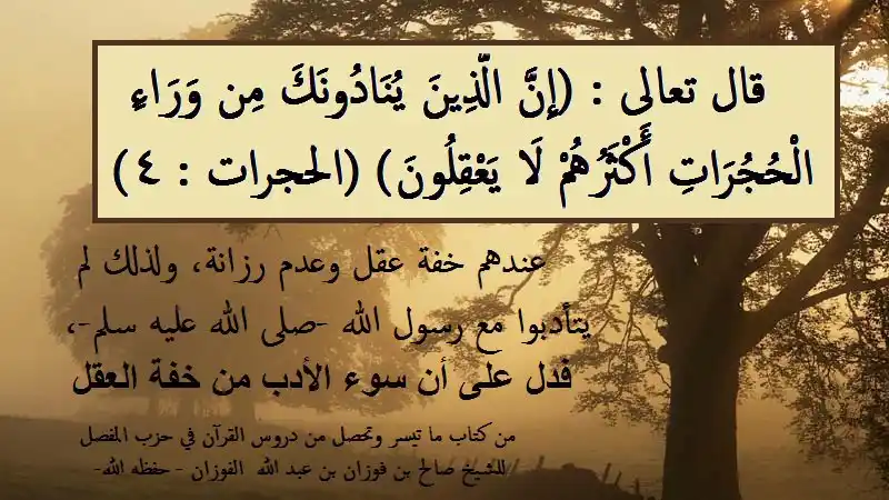 Image from ⛅️ لهـــذا خُــلقـــنا ☁️: تدبرات من سورة الحجرات* قال تعالى : (إِنَّ الَّذِينَ يُنَادُونَكَ مِن...