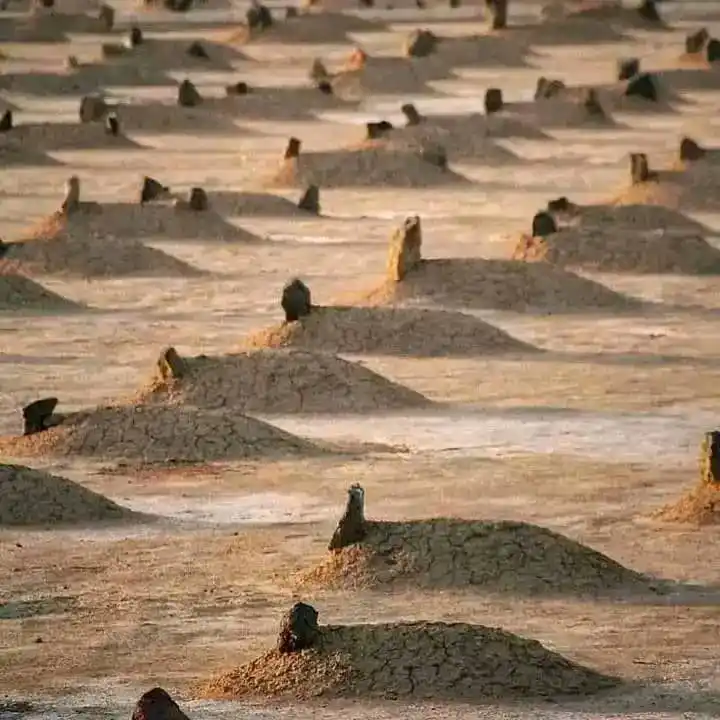Image from ~๐๐โ๐ผโ๐พ๐โ ๐โ ๐ป๐ผ๐ผโ๐ค๐ผ: The final destination of every person ๐ฅ Where are you going with you...