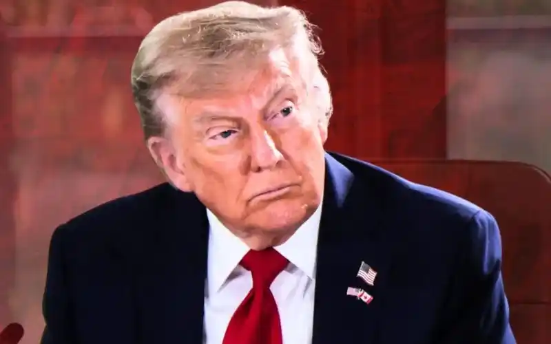 Il Politico Web post