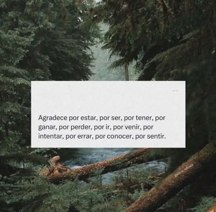 Image from | El canal de Maximø |: Valor o Acción de hoy: Gratitud 😌🤎...