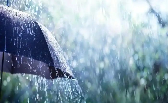 Image from Jornal Extra Alagoas: *Alagoas tem alerta de chuva e risco de alagamentos em 80 municípios* ...