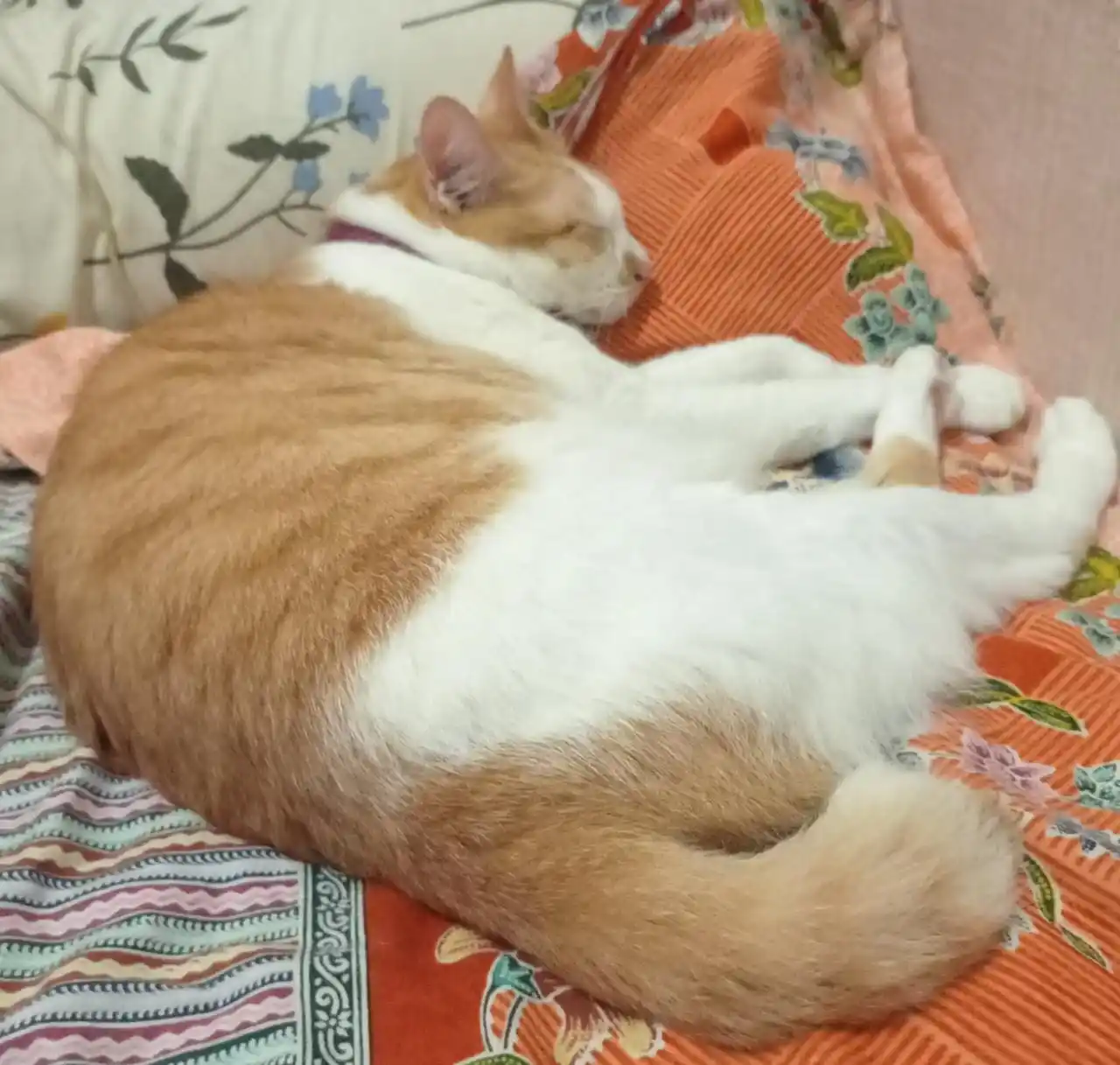Image from Ano & Onu: Anyo recharge tenaga anime anyo dulu😴...