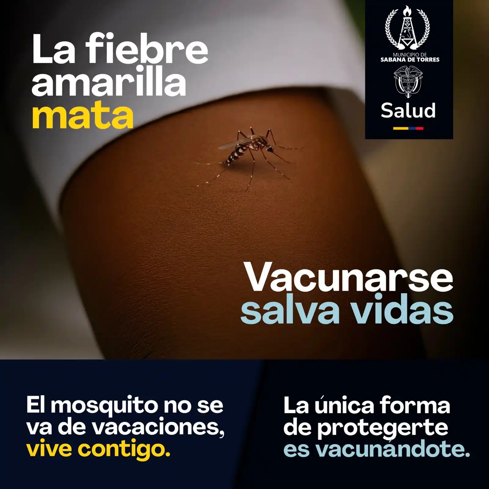 Image from Prensa Municipio Sabana de Torres: 🦟 ¡Atención! Entre 2024 y 2025 se han reportado casos de fiebre amari...